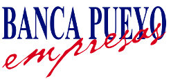 Pueyo Empresas